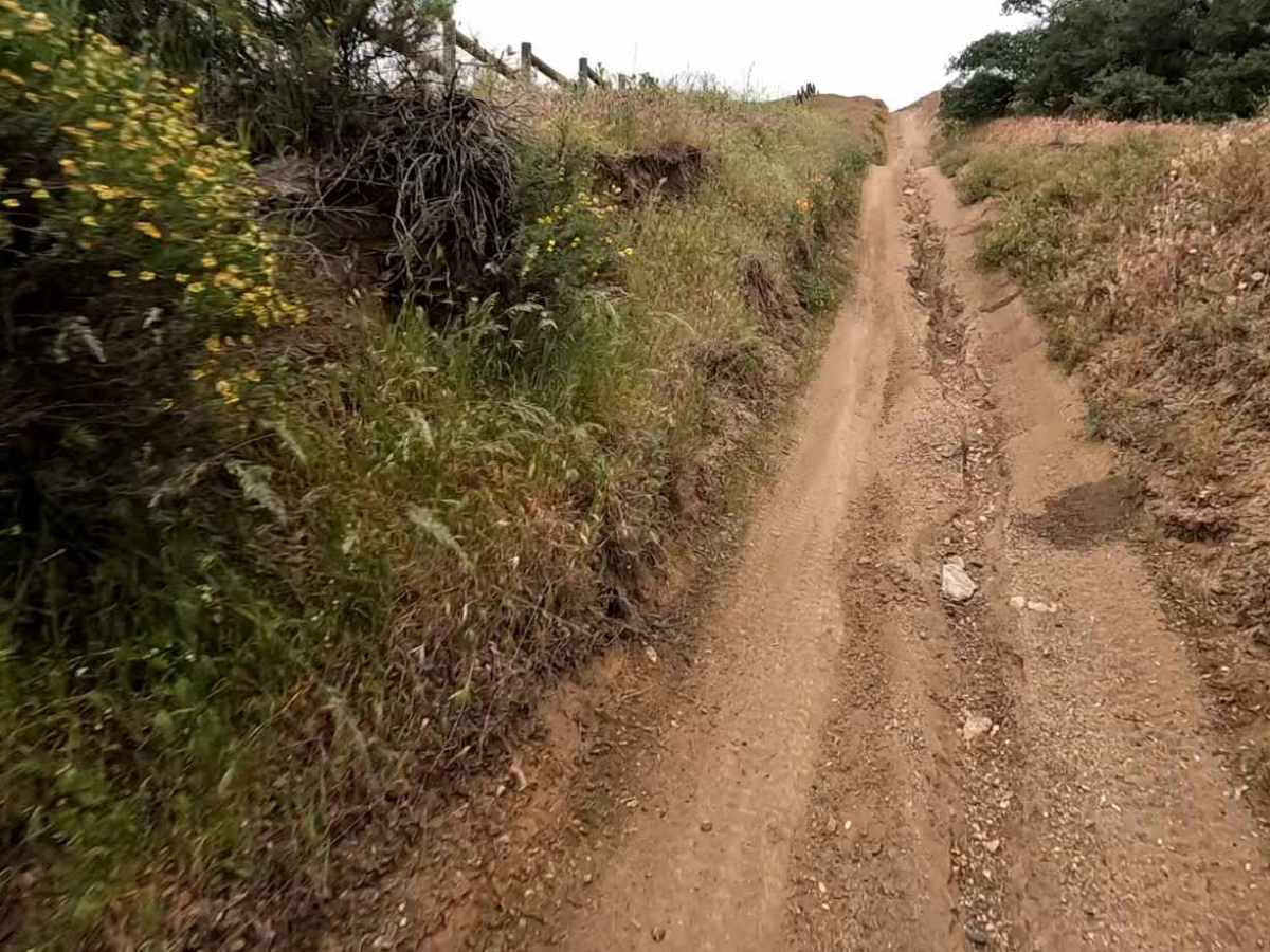 Lower Brome Trail photo 6