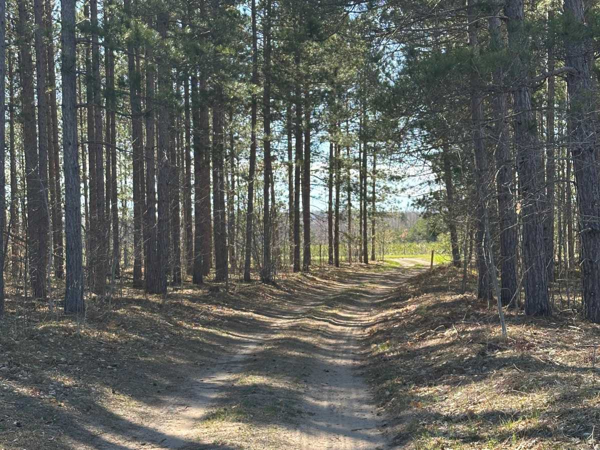 679 Spur trail photo