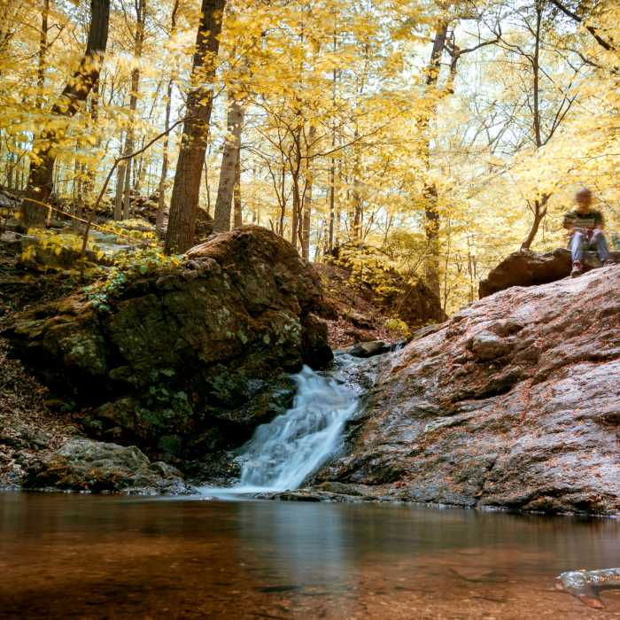 Near Soapstone-Santee-Ridge Loop