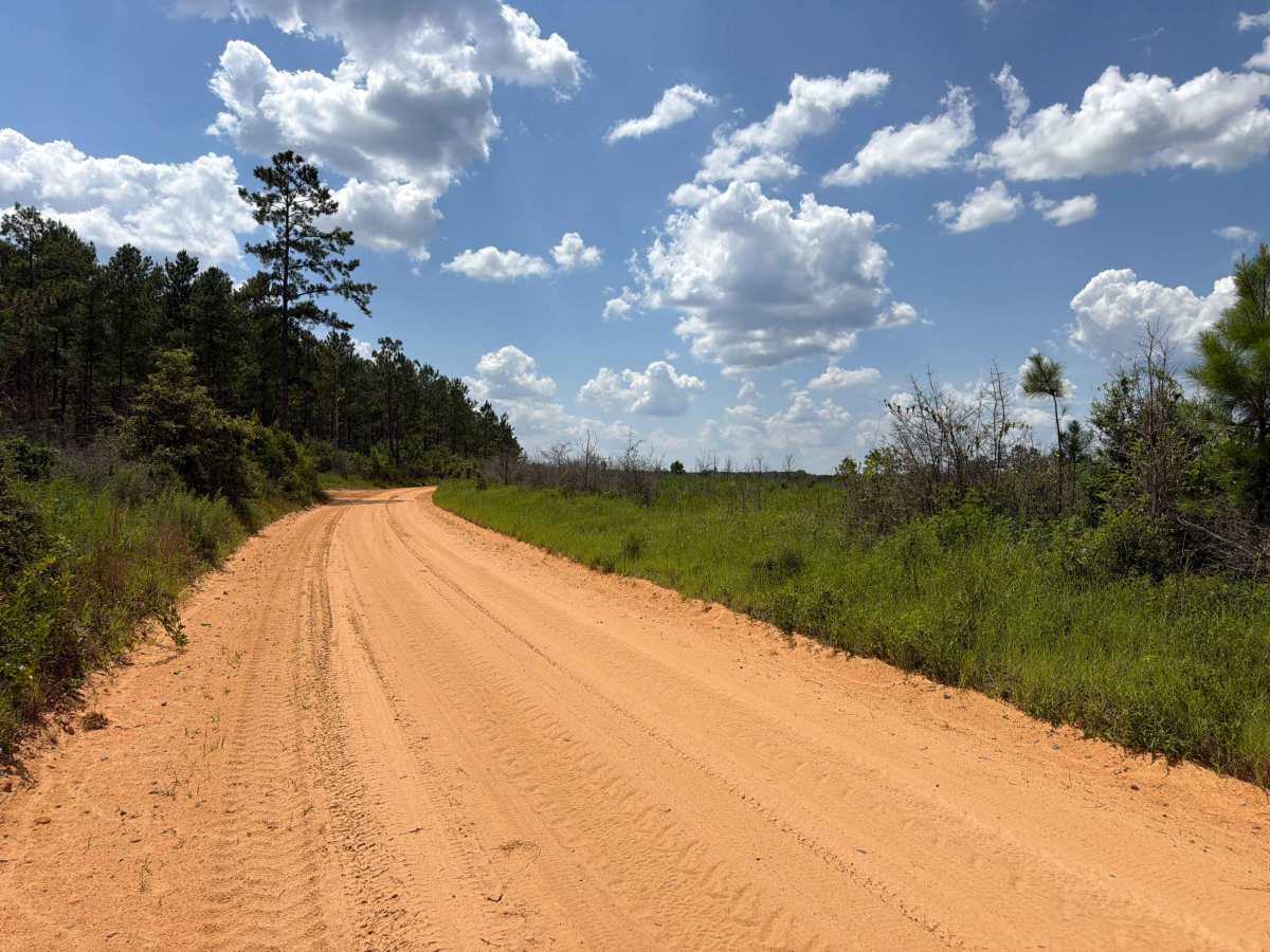 Paulk Road trail photo