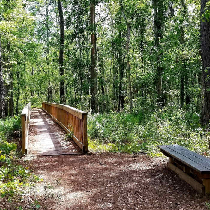 Boardwalk that connects the white and blue trails. It's about 1.5 mile in, so the bench comes in handy if you want to rest. Near Losco Regional Park Trails