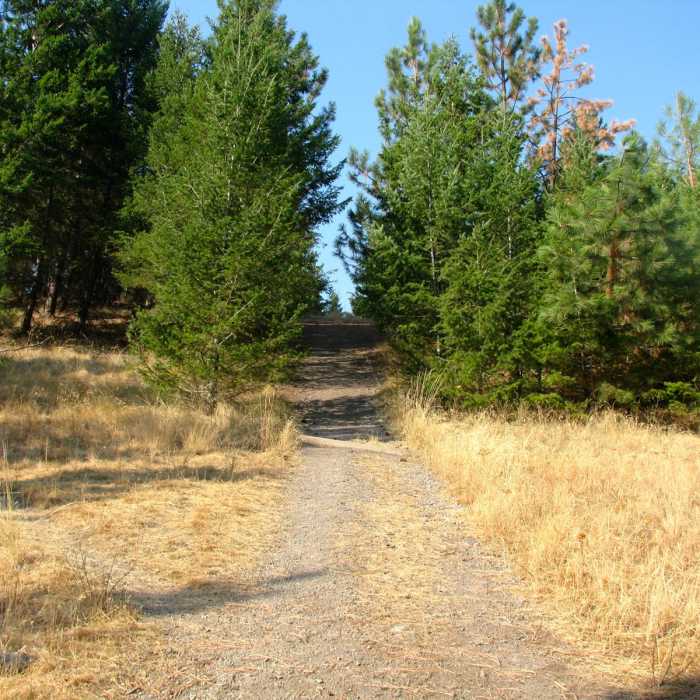 Near Mount Jumbo via the Tivoli Trail