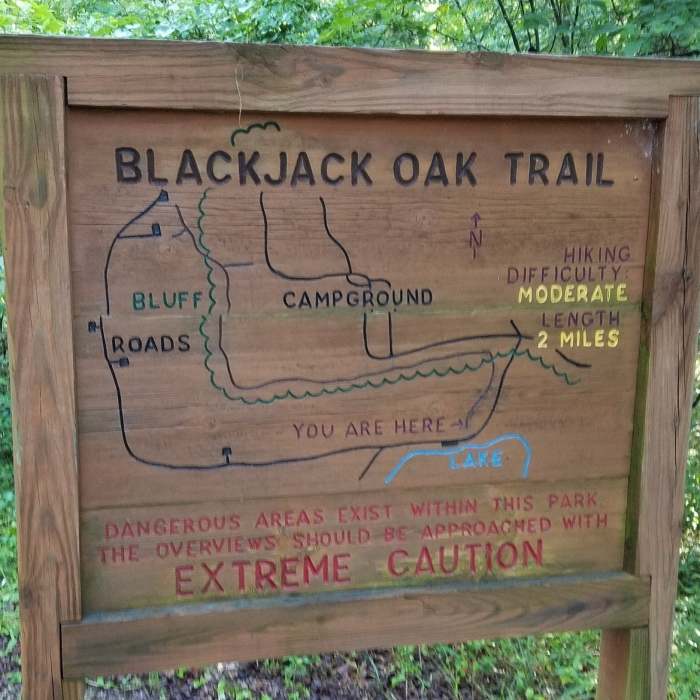 Near Blackjack Oak Trail