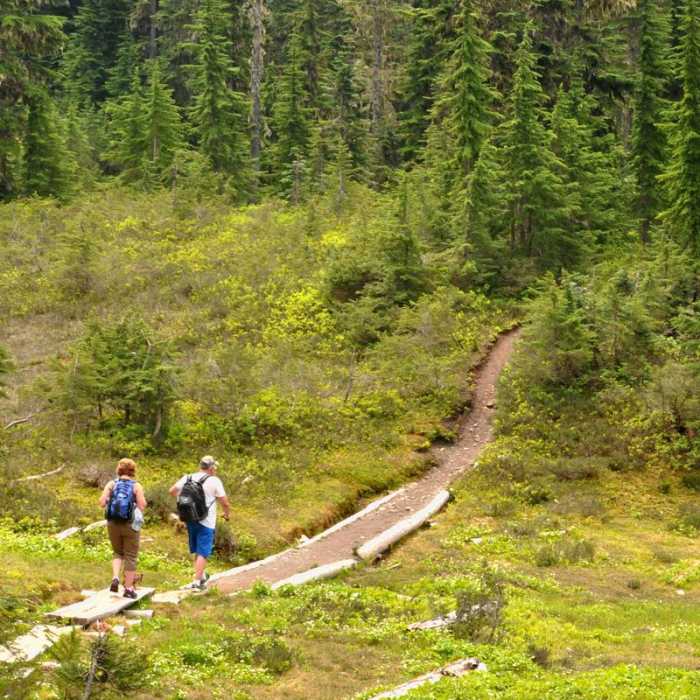 Near Anderson and Watson Lakes