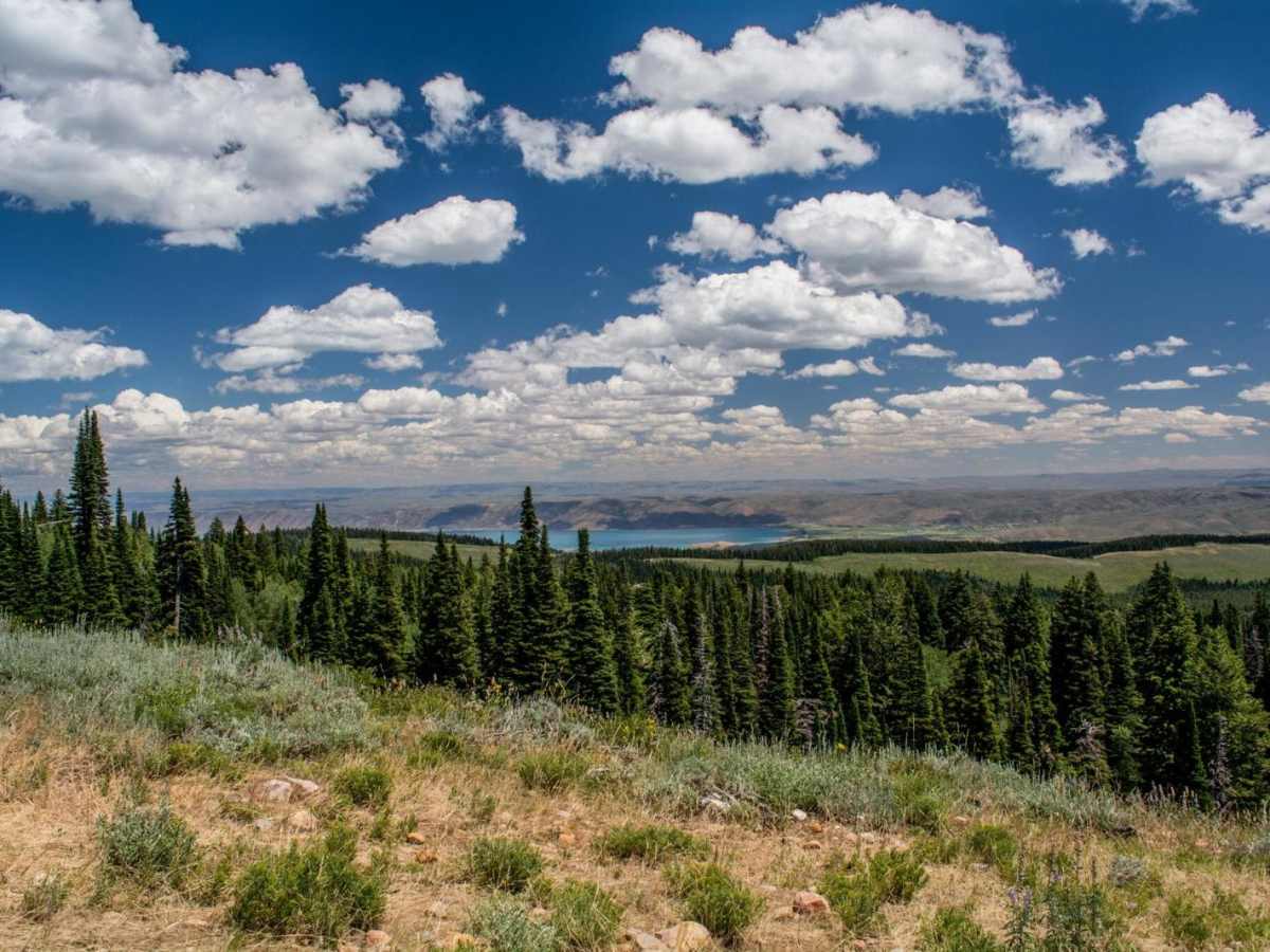 Peter Sinks and Temple Peak Area Trails trail photo