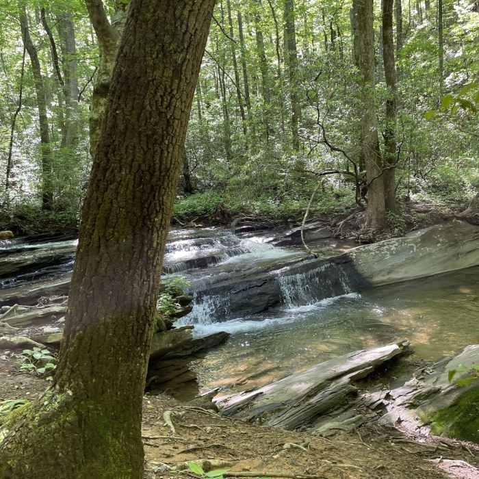Near Champion Creek Trail