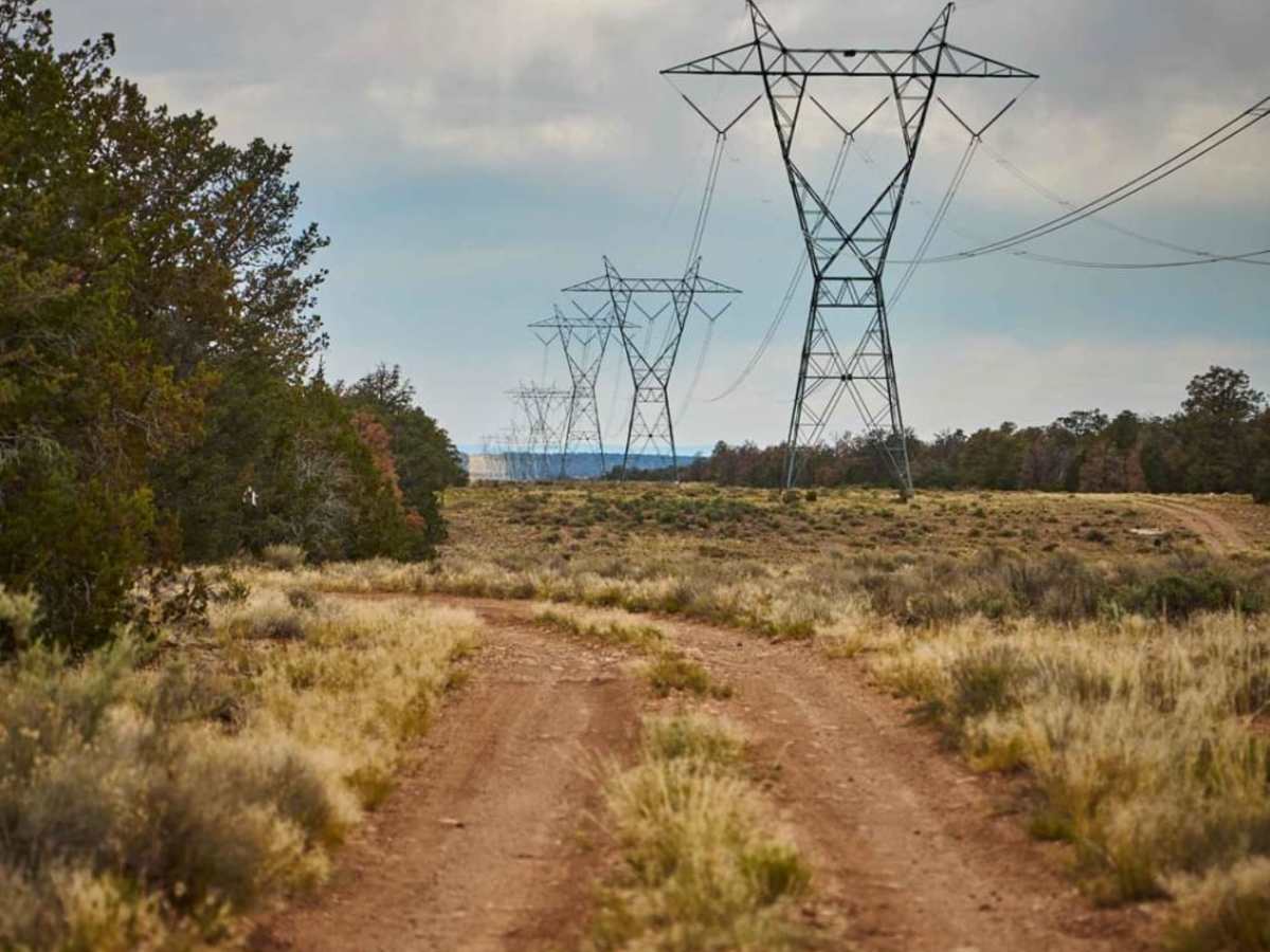 776 / Powerline Road photo 6