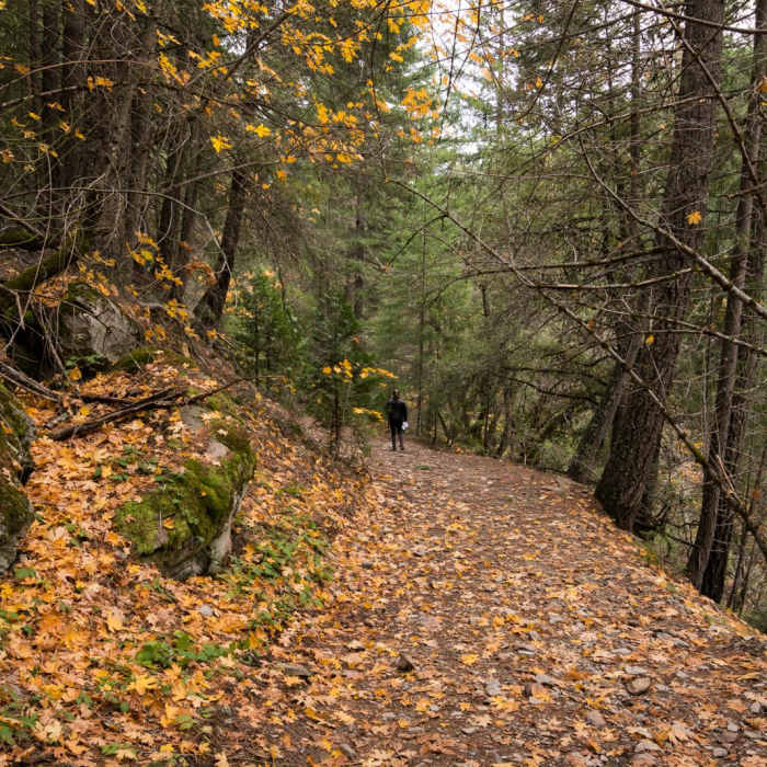 Near Faery Falls in Ney Spring Canyon