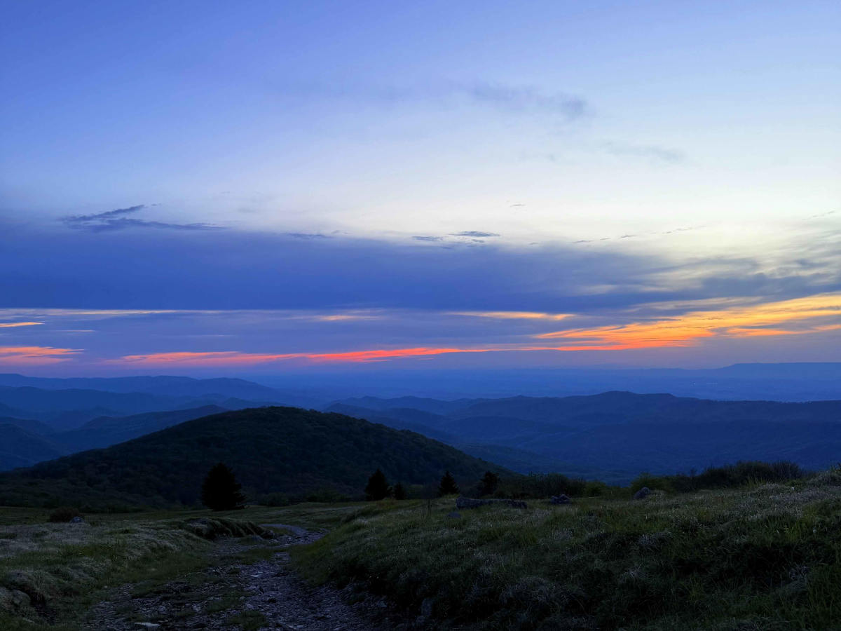 White Top Bald trail photo