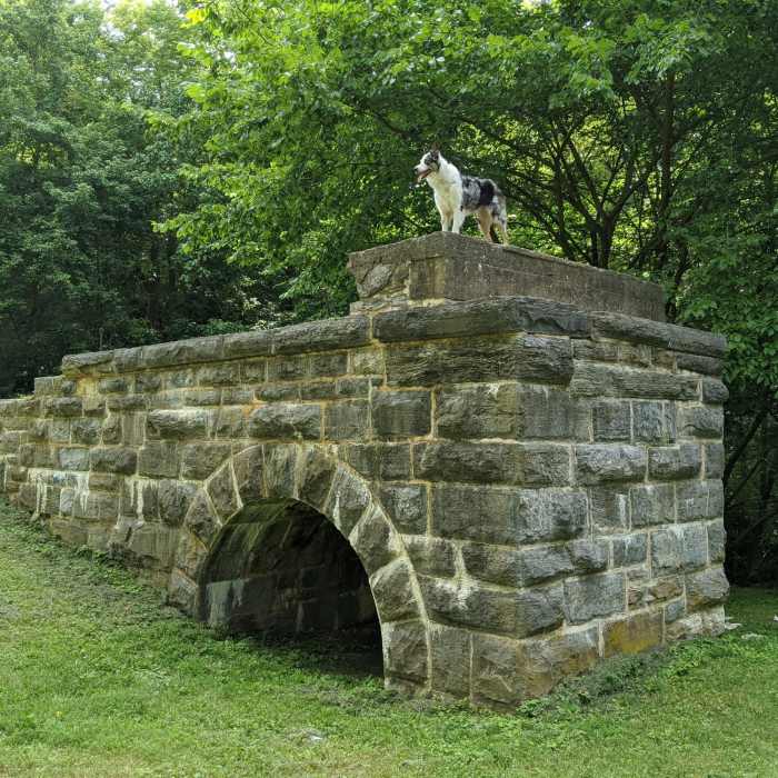 Near C&O Canal: Lock 45 to Lock 50