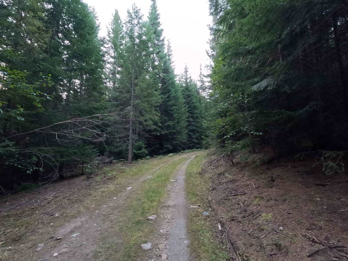 Johnson Creek - FS 7005350 photo 4