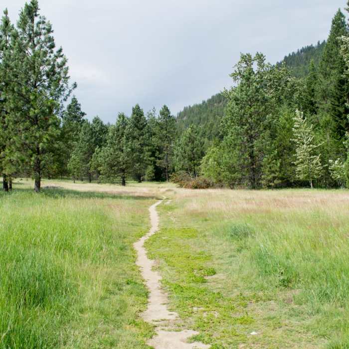 Near Mickinnick Trail