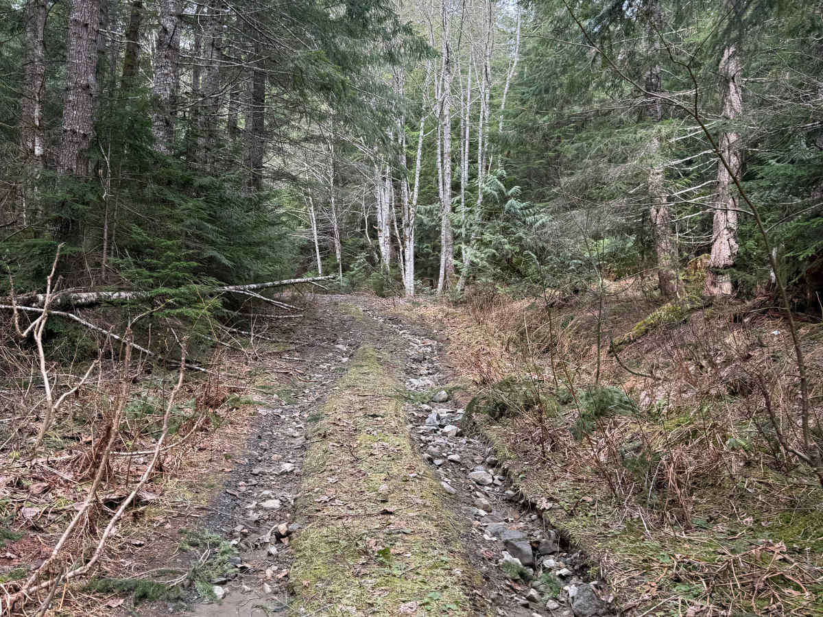 Beckler River Spur 2 photo 4