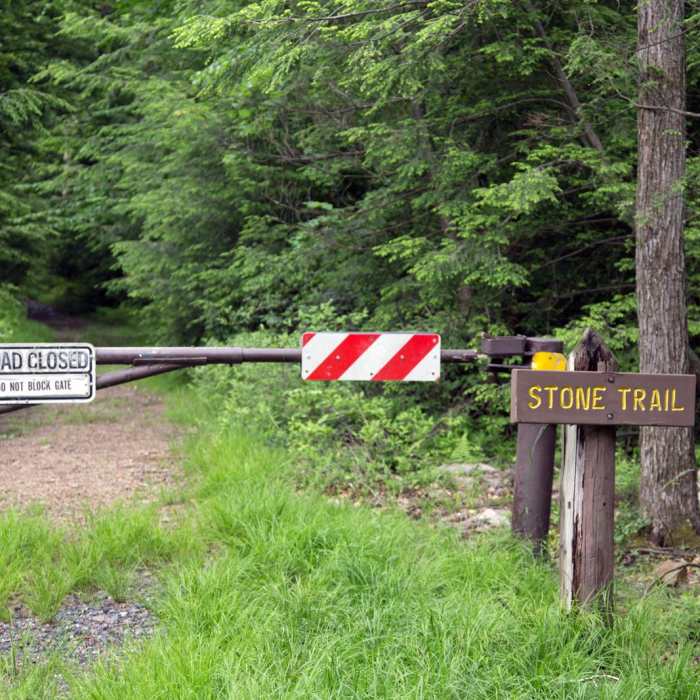 Near Stone Trail and Boundary Trail Loop Near Stone Trail and Boundary Trail Loop