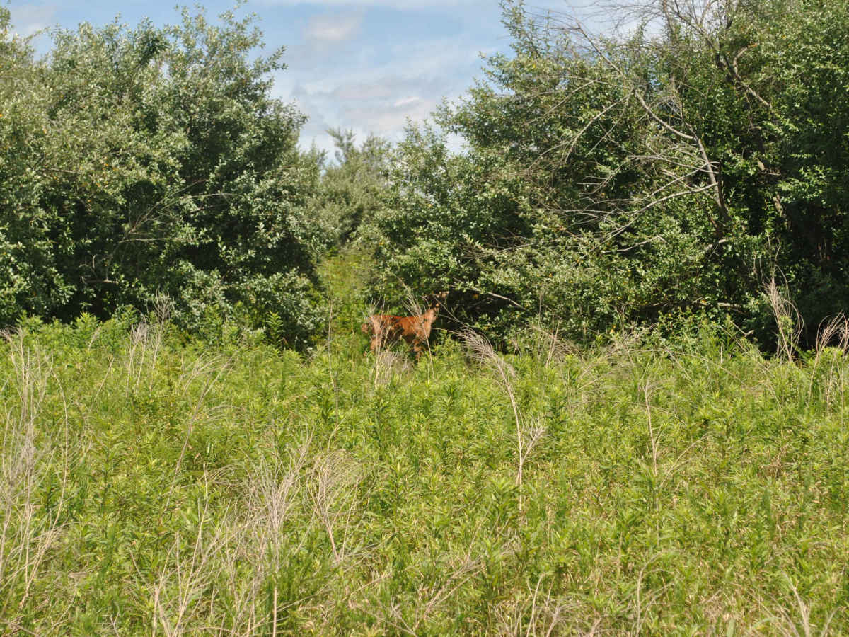 25B trail photo