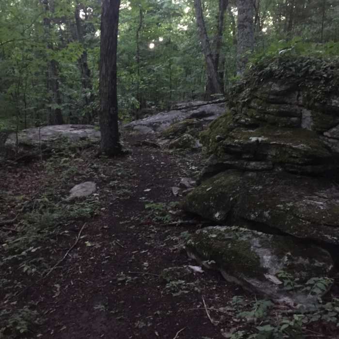 Near Oak Park Trail