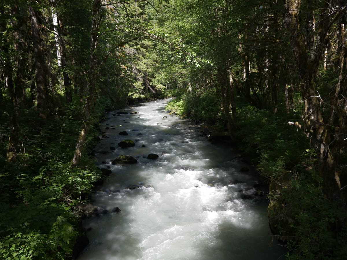 Marten Lake photo 5