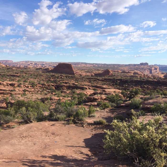 Near Captain Ahab Trail