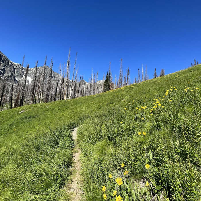 Near Copper Glance Lake