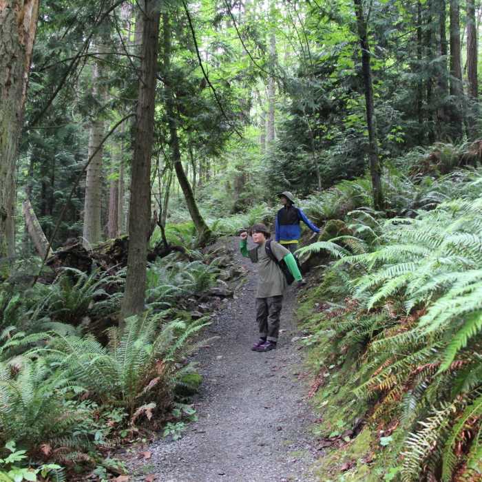 Near Guemes Mountain Trail