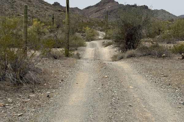 Abandoned Mine Trail - 24010