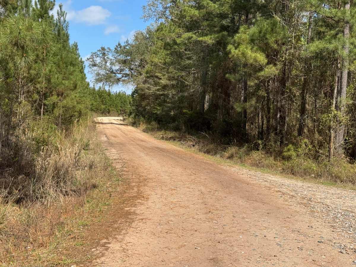 Main Road photo 3