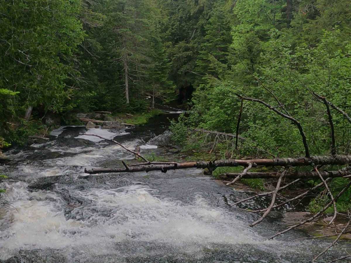 Cliff Falls Lasso photo 6