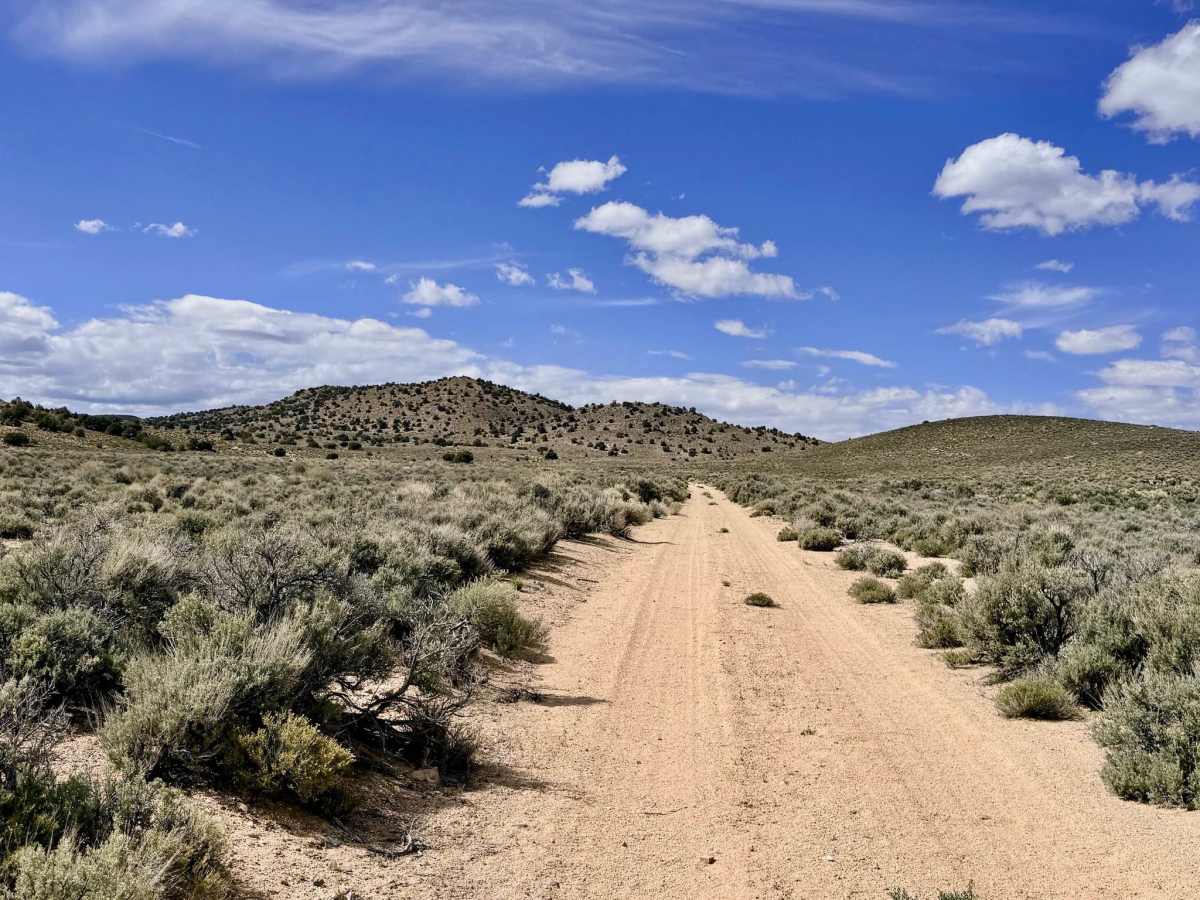 Spanish Spring - FS 44015 photo 5