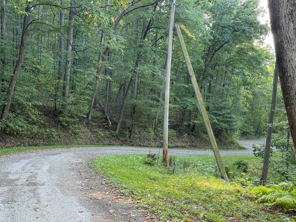 Old State Road - FS 157 photo 5