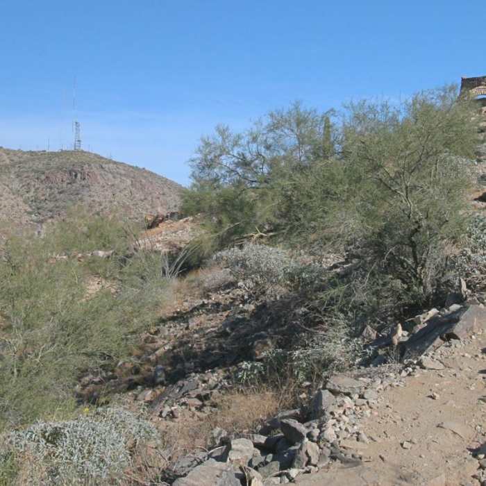 Near Telegraph Pass Hike