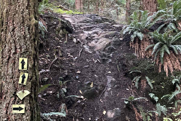 Beggers Gulch Connector