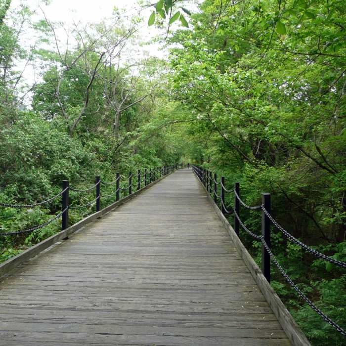 Riverside Walk Near Mount Vernon Trail