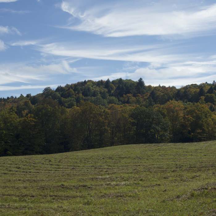 Near Summer Pasture Road