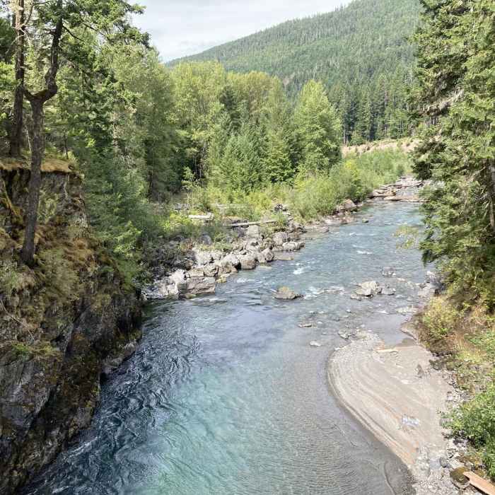 View looking north from Dodger Point Bridge. Near Long Ridge Trail