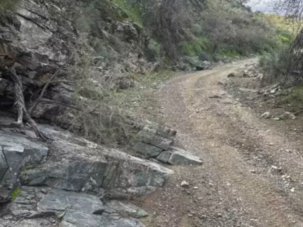 Hellgate Spring Trail  photo 5