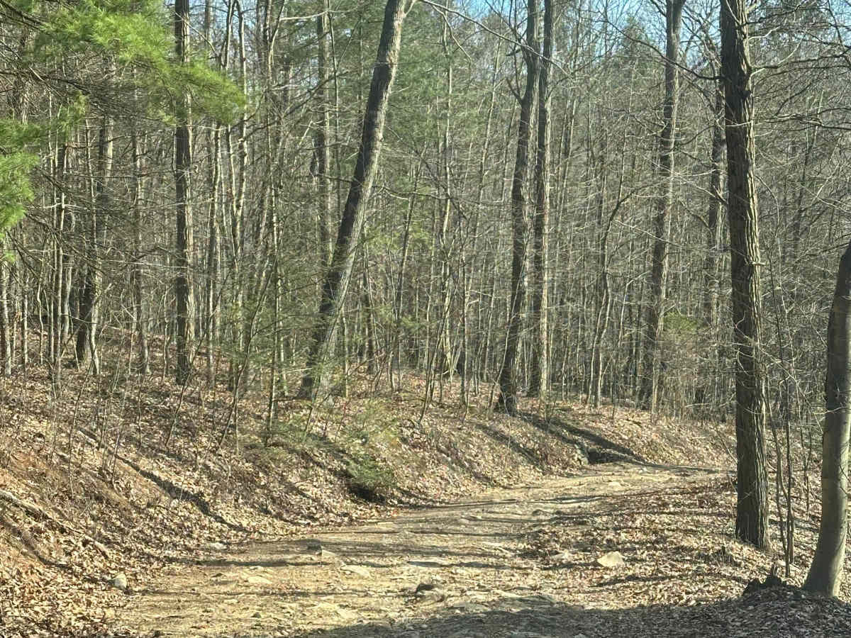Biesecker Gap trail photo