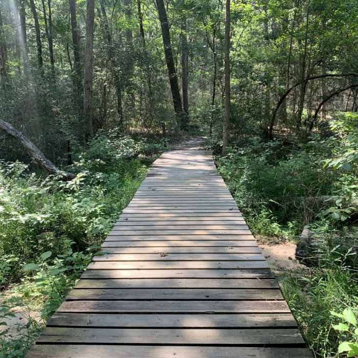 Near Triple C Trail