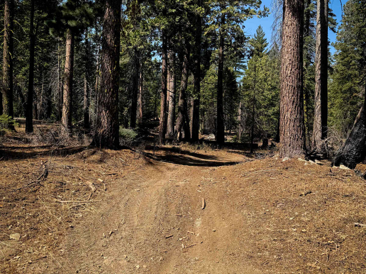 23E268 photo 4