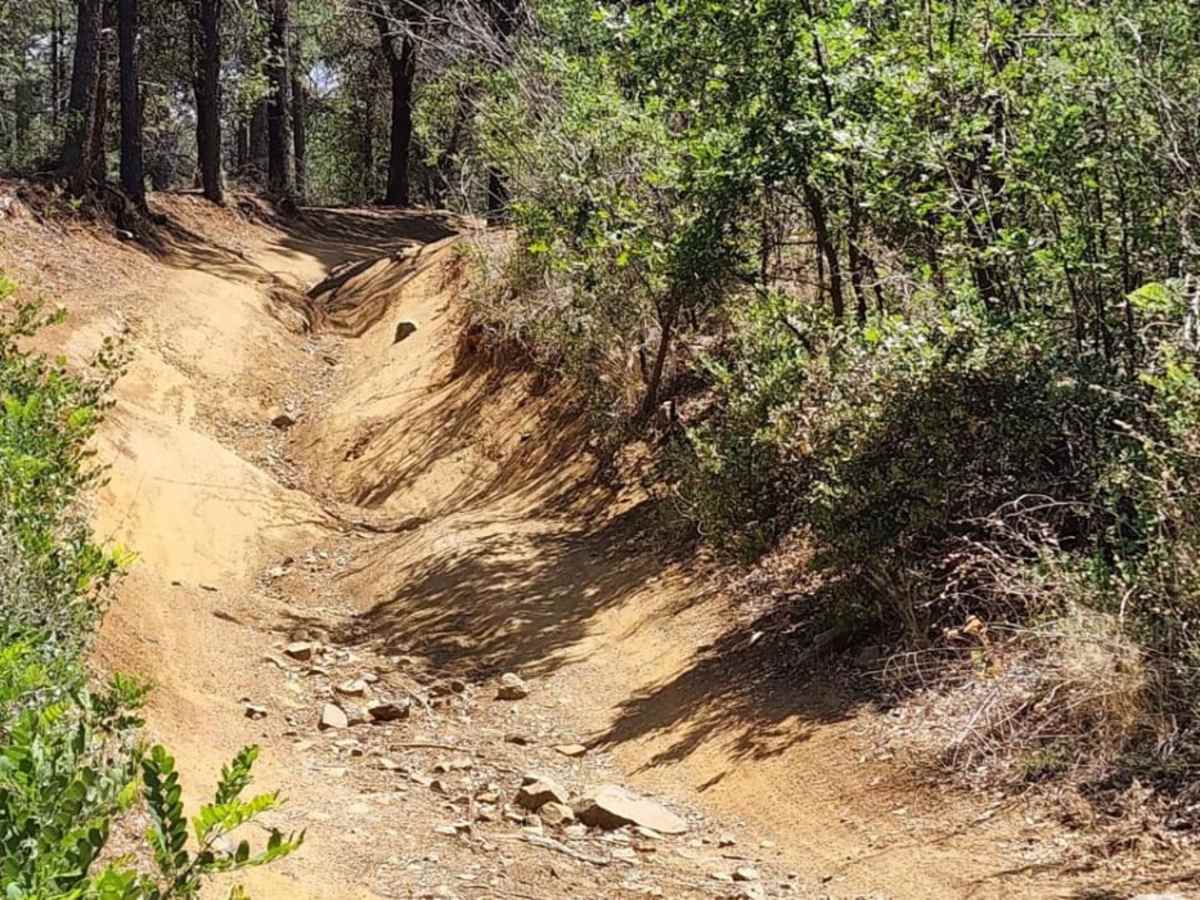 74 Payoff trail photo