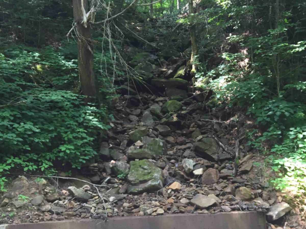 Trans American Trail WV photo 4