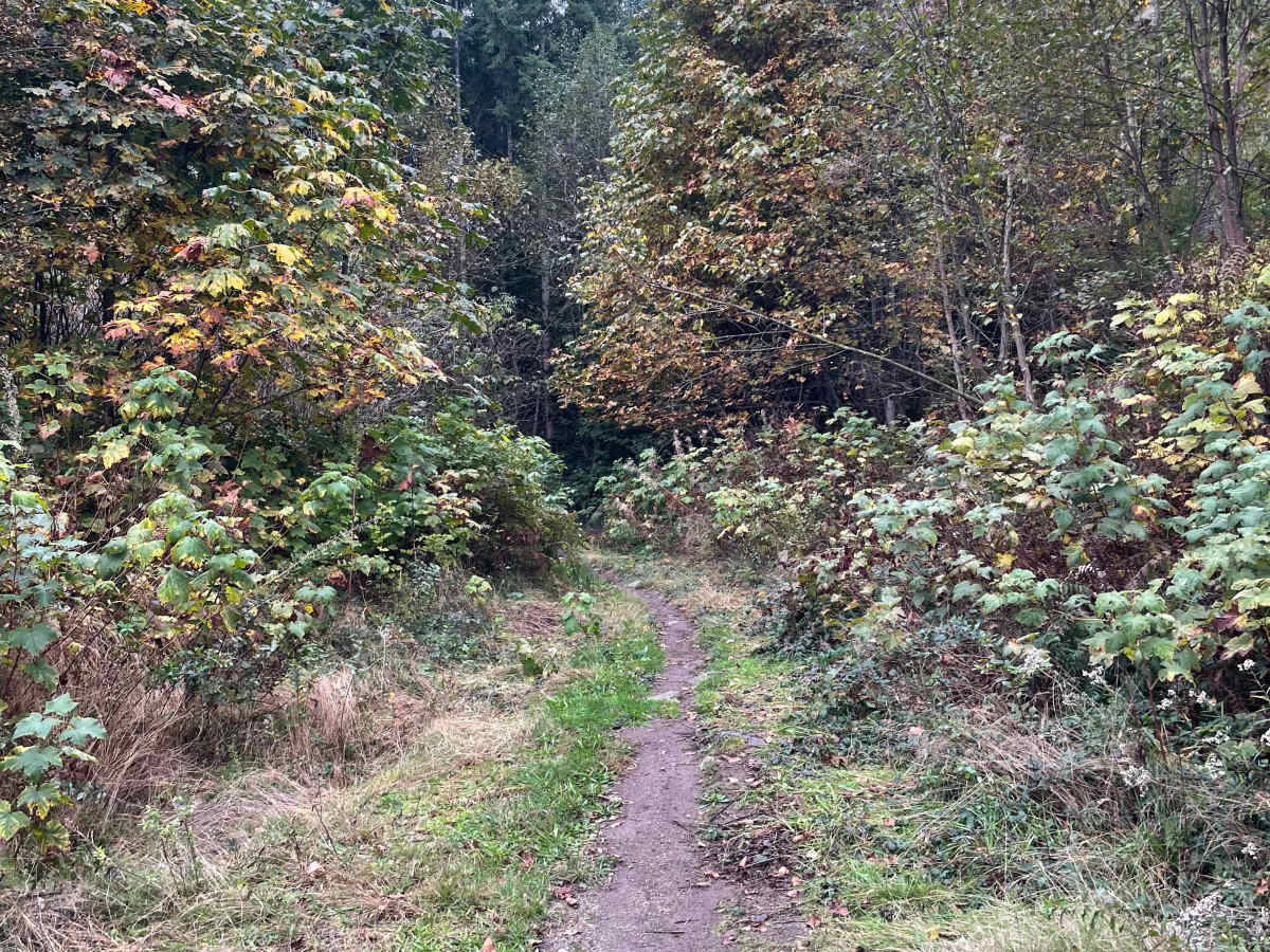 Trials Zone Connector photo 4