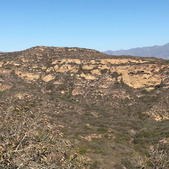 Near Serrano Ridge Trail