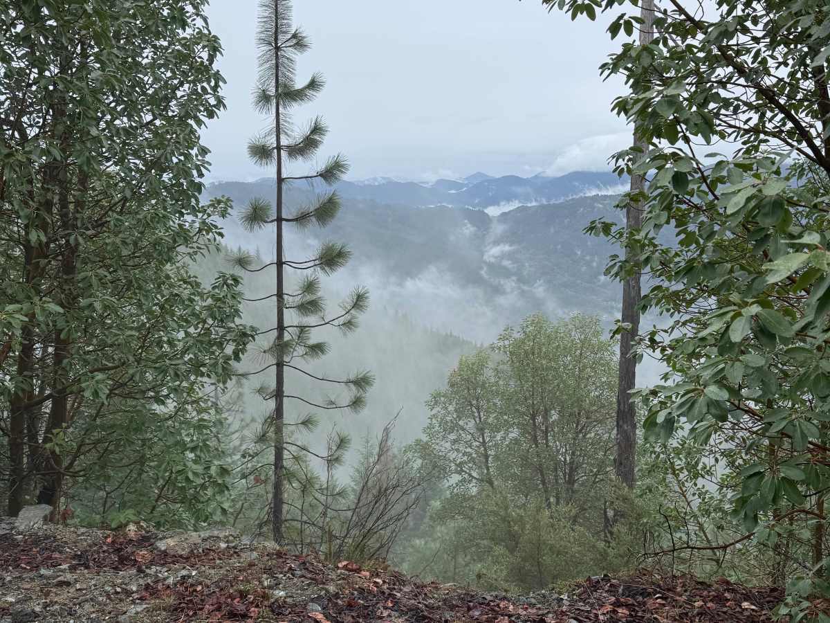 Walker Mountain Road photo 5
