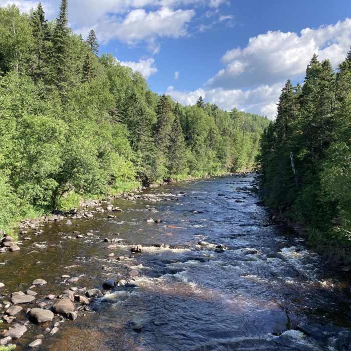 Near Devil's Kettle Trail Near Devil's Kettle Trail
