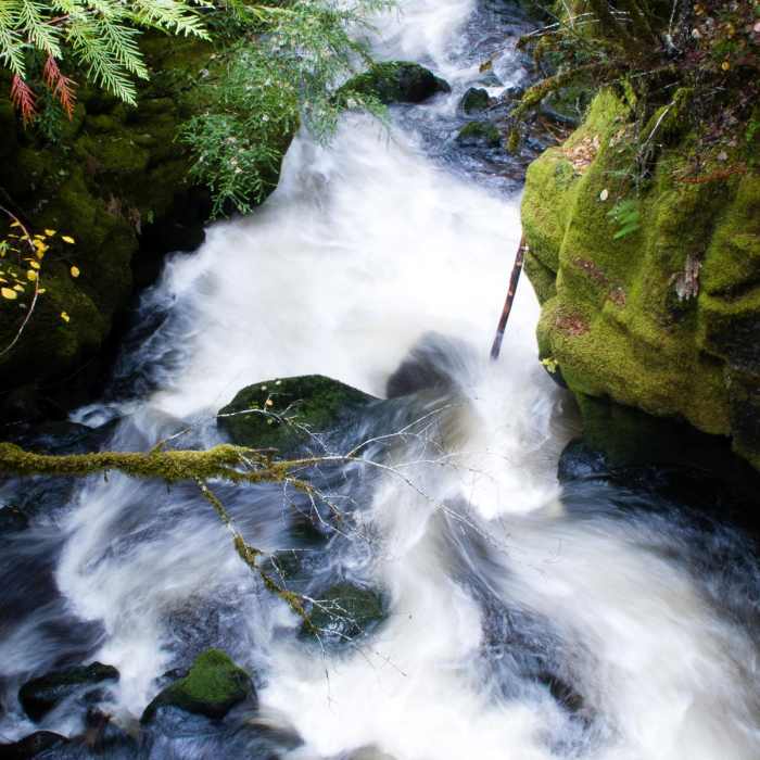 Near Falls Creek Falls