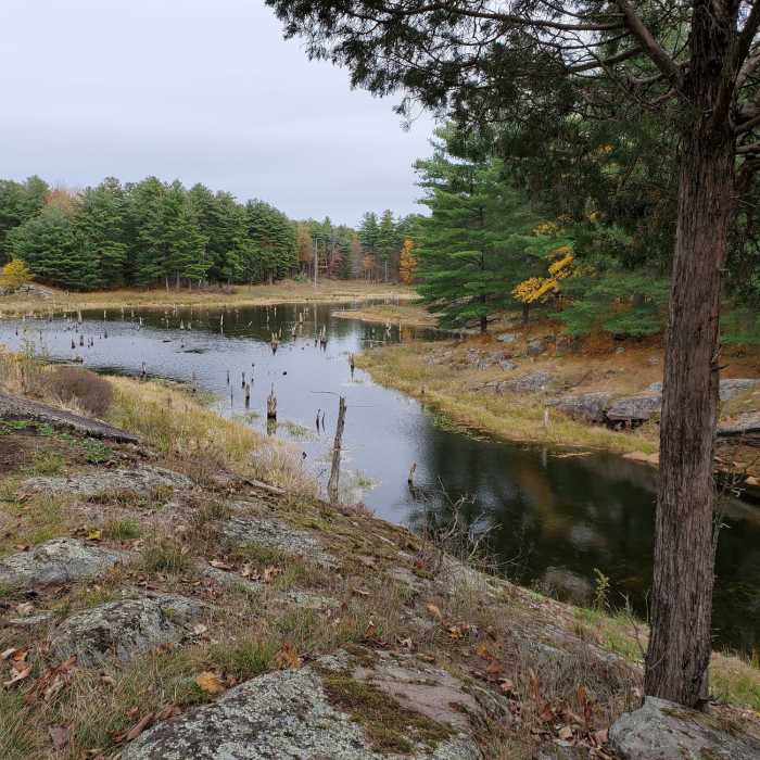 Near Doe Lake Trail