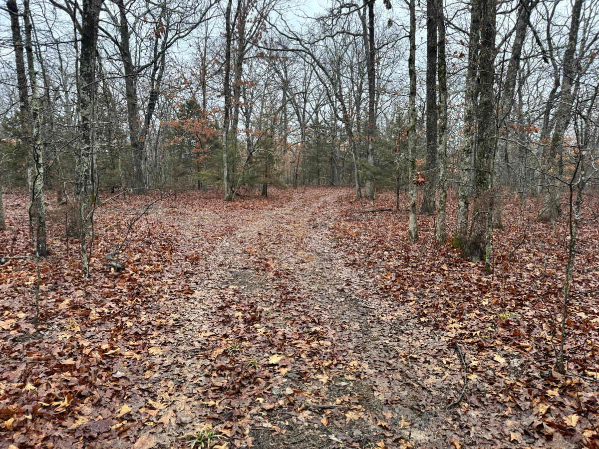 FS 1530B trail photo