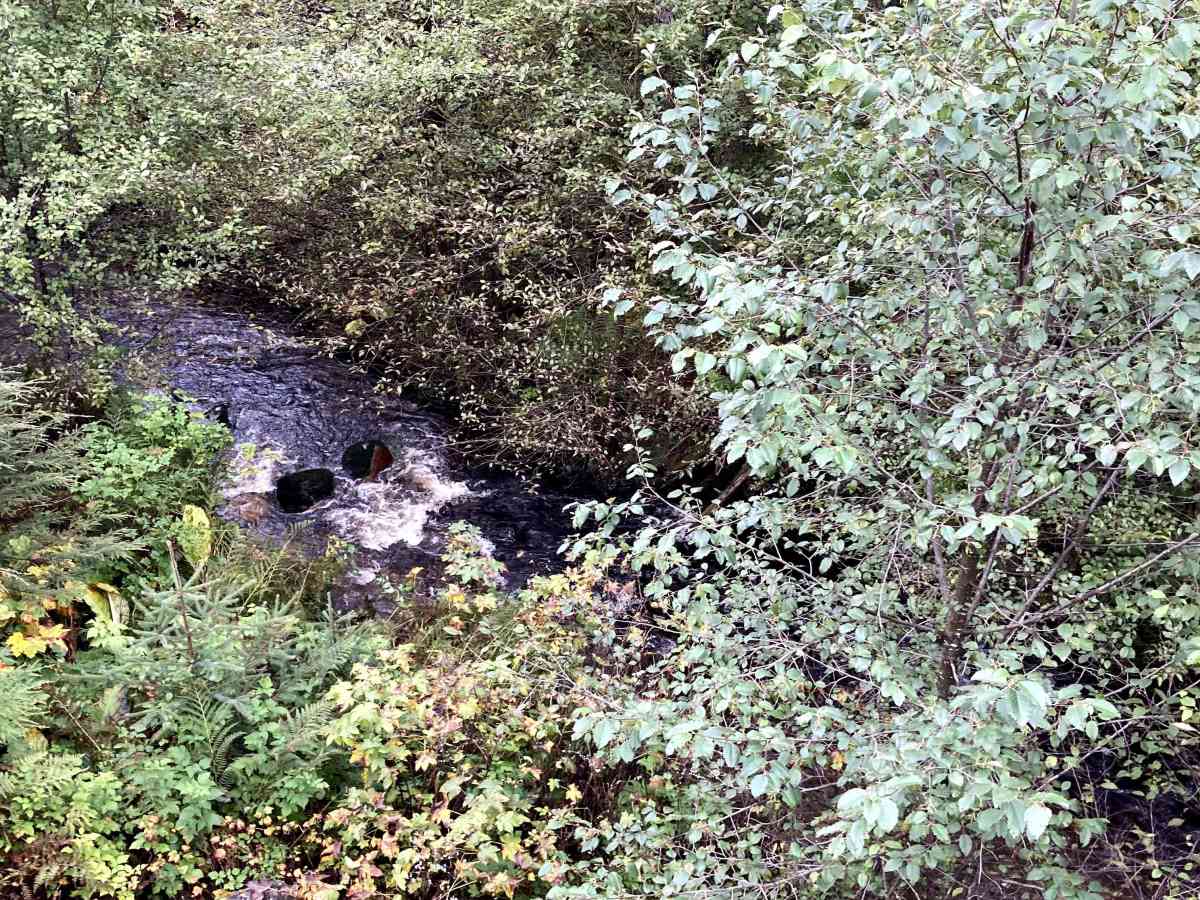 Shelter Cove Road (section 1) photo 6