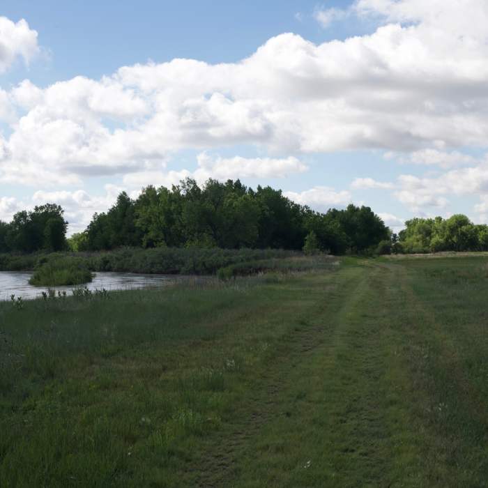 Near Big Loop Trail