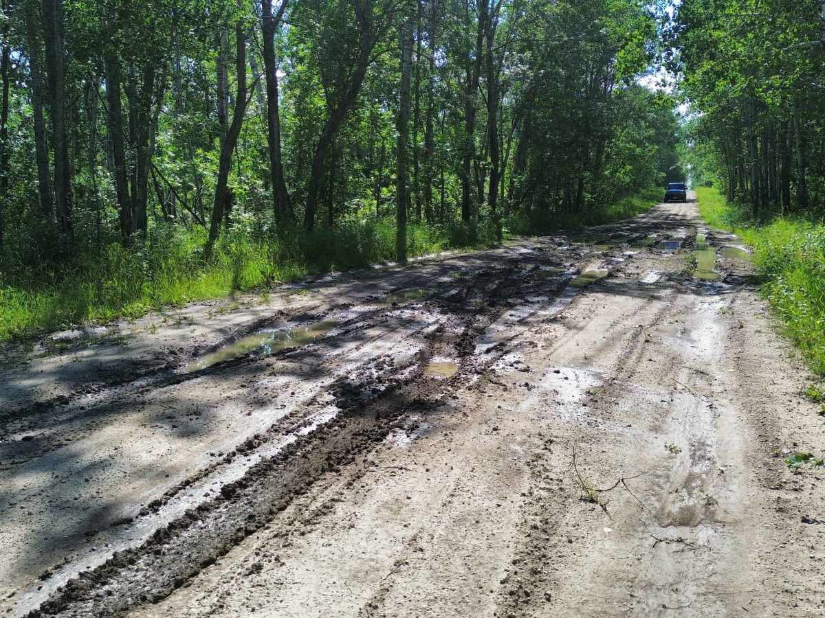 Centre Road - Moose Mountain Provincial Park photo 3